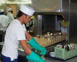 A day in the life of a Utility Dishwasher