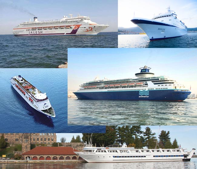 Cruise Lines That Ceased Operation Due to COVID-19